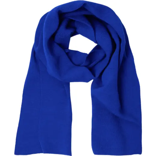 FWRD Everest Scarf Royal